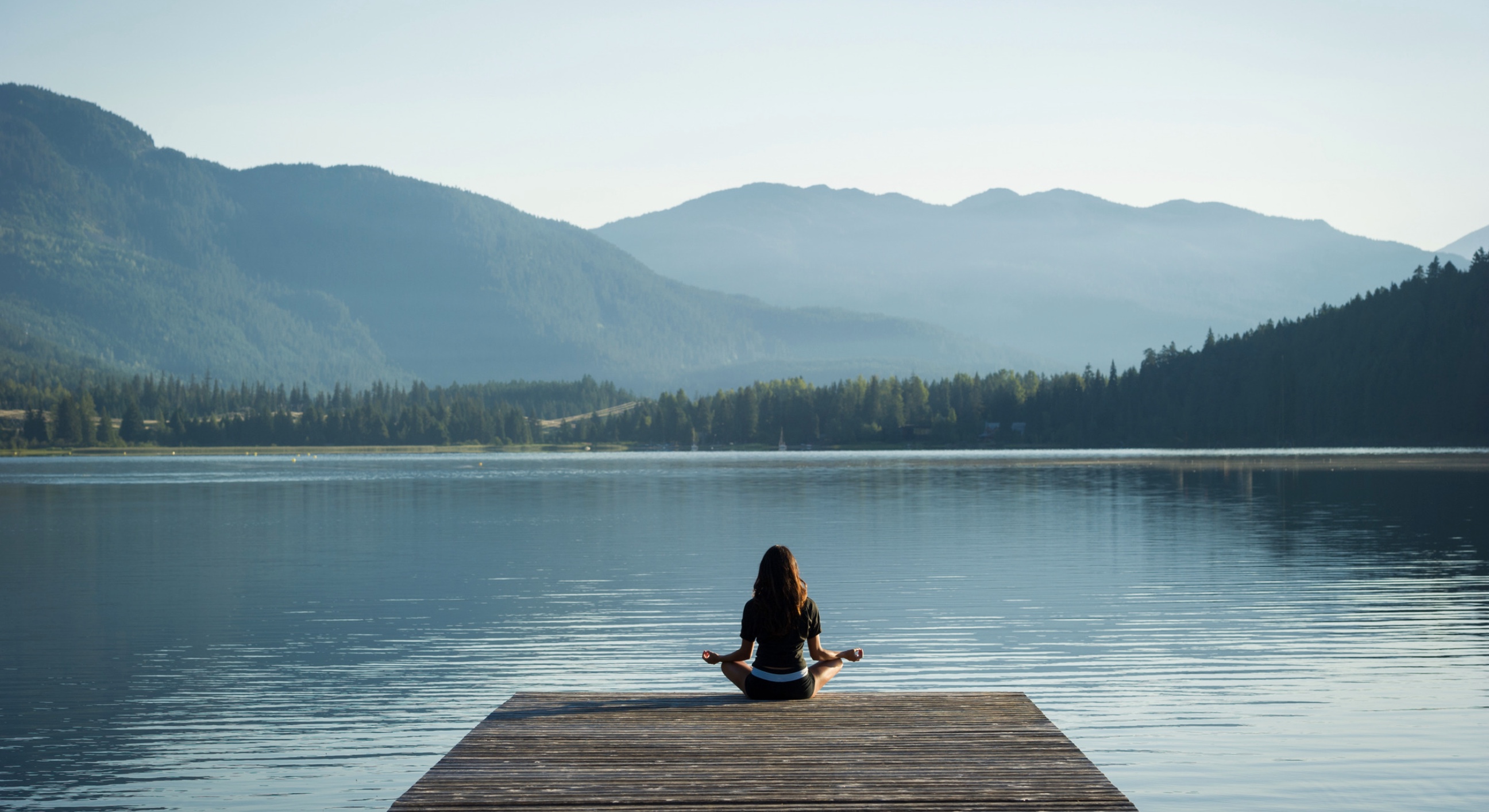 What "wellness real estate" actually means?